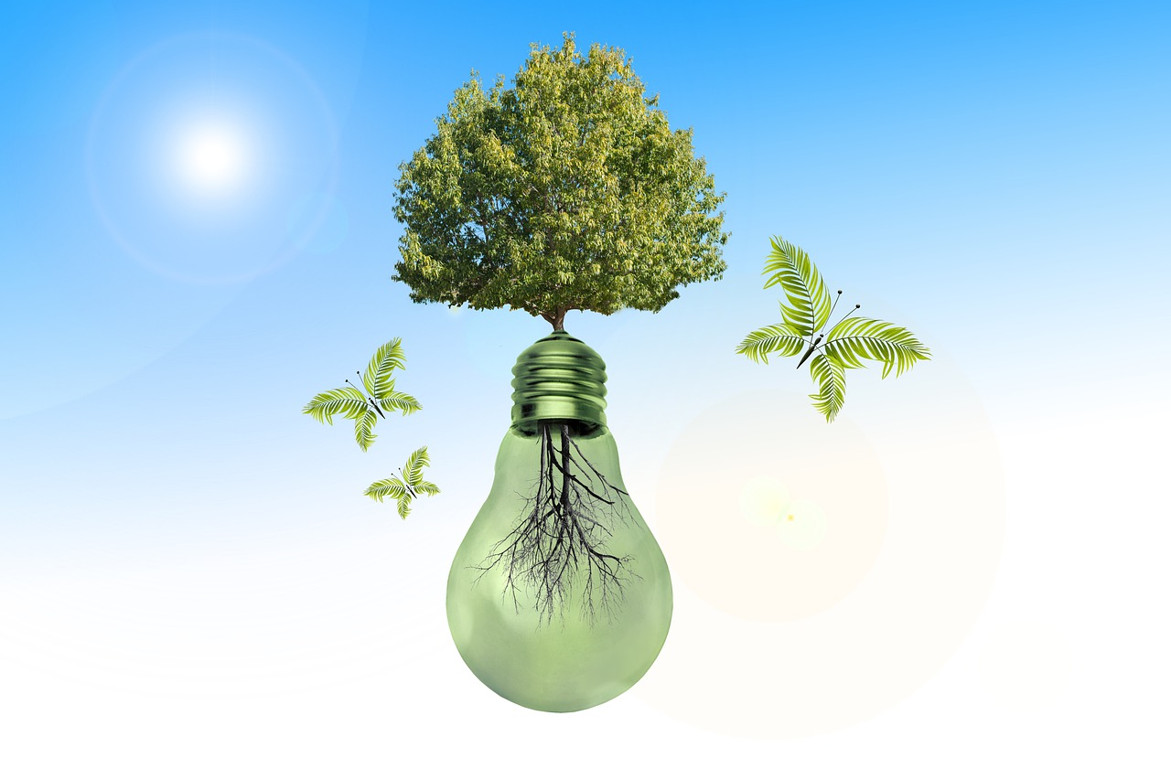 TerraNova | Sustainability Case Competition